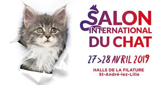 Salon international du chat 2019