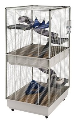cage-pour-rat
