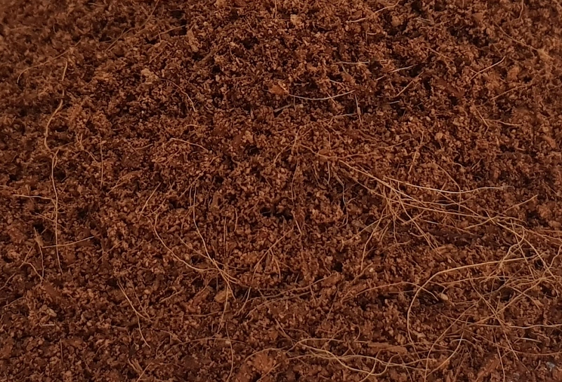 litiere-pour-les-nacs-cococlean