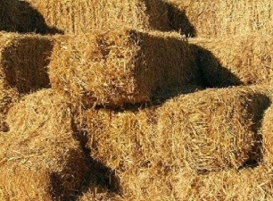 paille