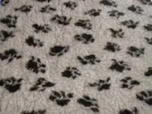 drybed