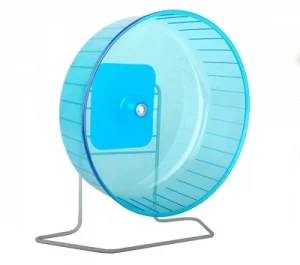 Roue d'exercice pleine