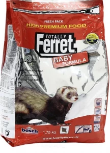 totally-ferret-junior