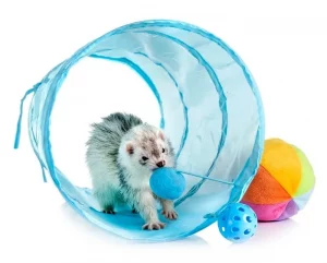 tunnel-cage-du-furet