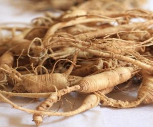phytotherapie-ginseng