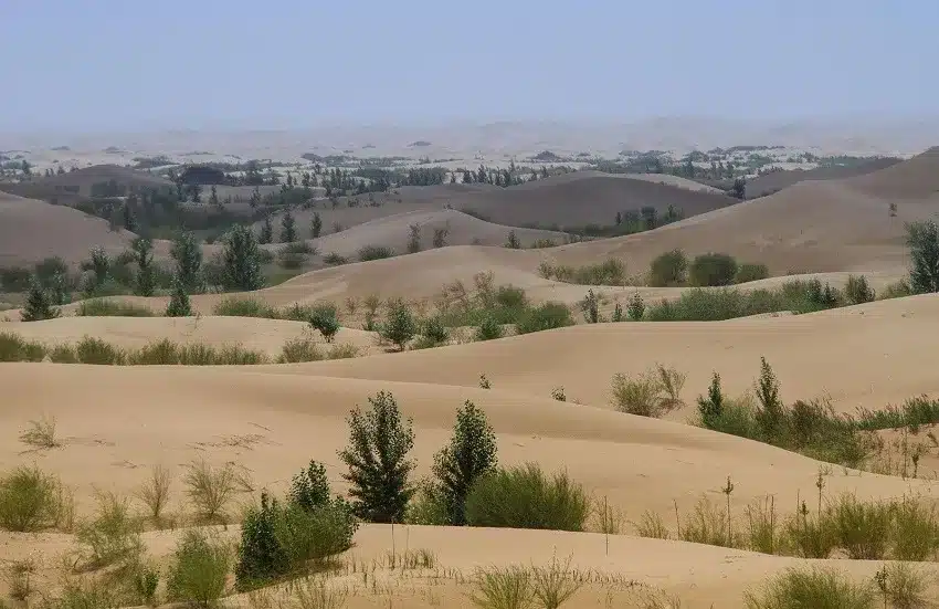 dune-en-chine-et-en-mongolie