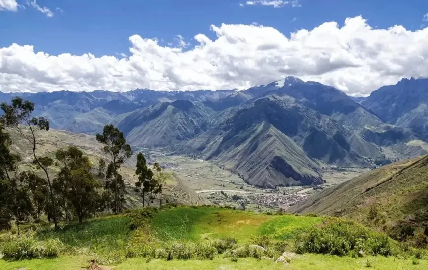 origine-du-cochon-dinde-montagne-perou