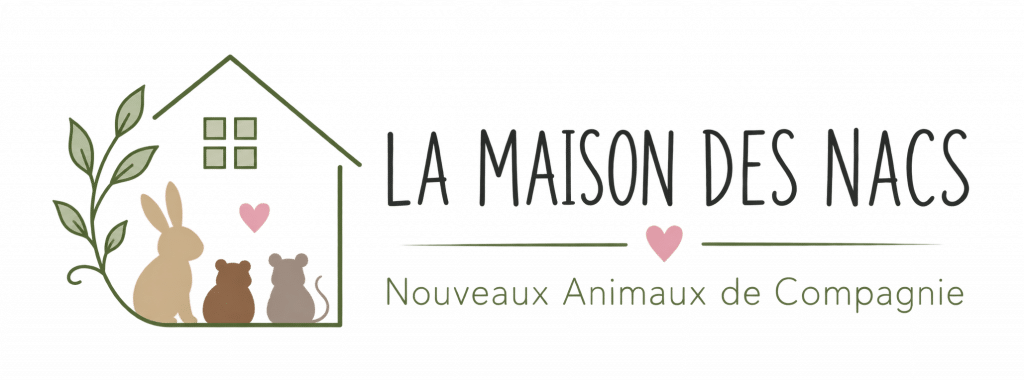 image-en-tete