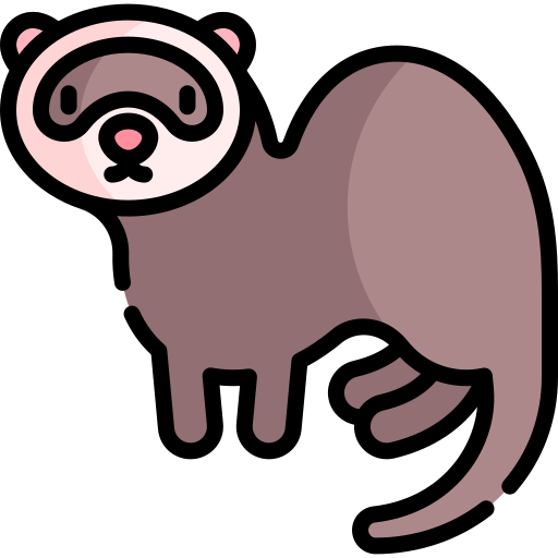 Furet