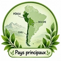 pays principaux