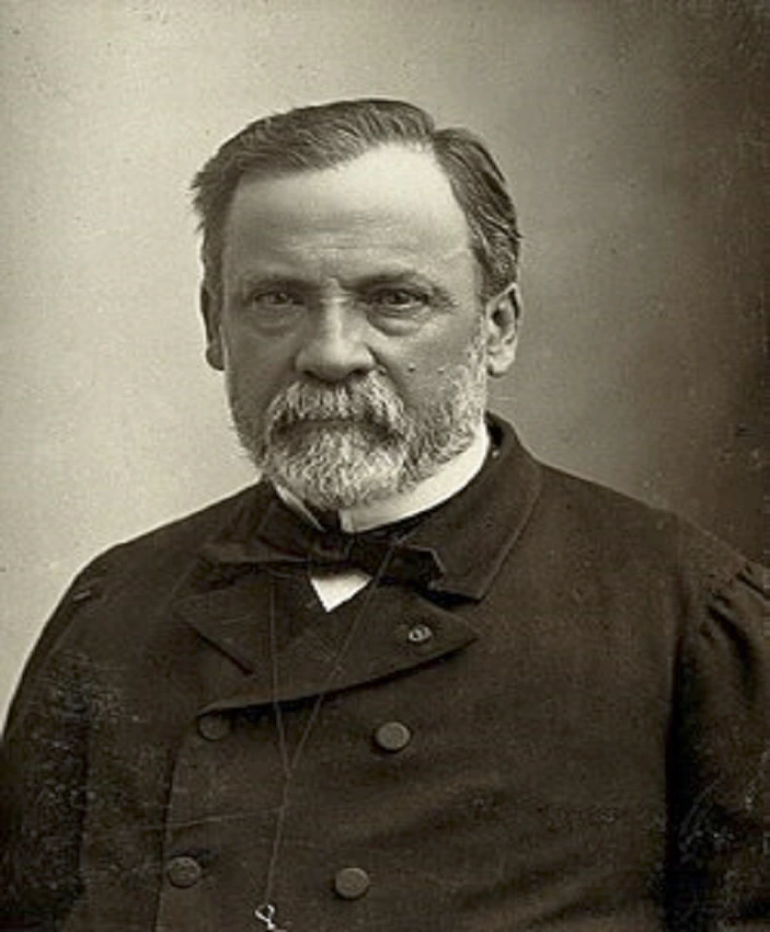 Origine du cochon d'Inde - Louis Pasteur